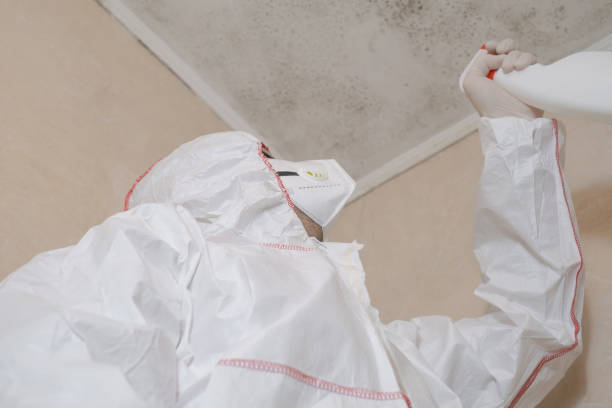 Attic Mold Removal in West Ishpeming, MI